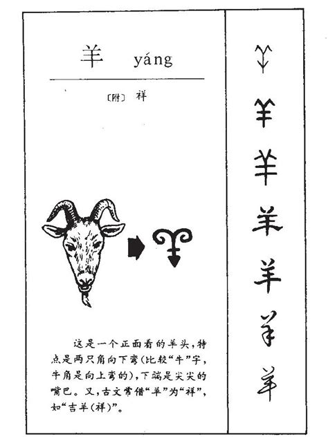 羊 名字|羊字取名的寓意